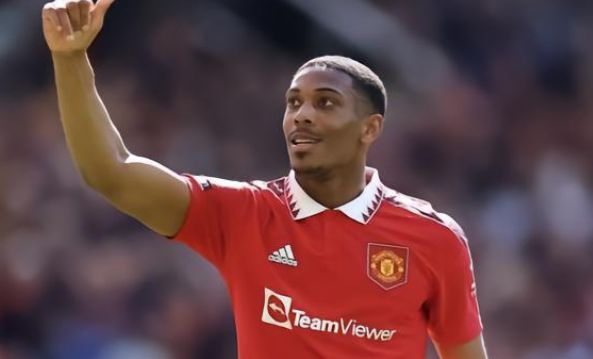 点不仅展示 点不仅展示